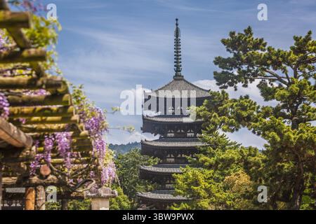 Yakushi-JI Ostpagode, Nara, Japan. Atemberaubende fünfstöckige Holzpagode inmitten lebendiger Glyzinien und üppigem Grün. Eine heitere Tempelszene, die Tram zeigt Stockfoto