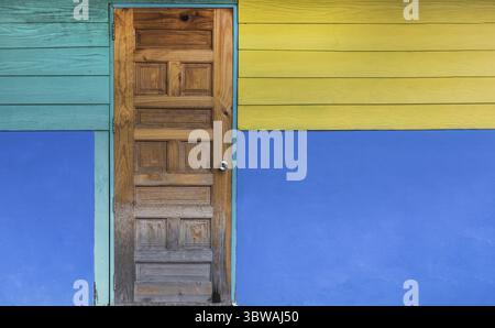 Alte Tür mit farbig bemalter Wand. Klassisches Vintage- und modernes Innenkonzept. Architektur und Home Design Stockfoto
