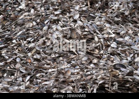 Hamburg, Deutschland. Juli 2025. Unzählige Löffel, Gabeln und Messer liegen auf dem Kupferschrottplatz der Aurubis AG. Der Kupferschrottplatz dient der temporären Lagerung und Verarbeitung von kupferhaltigem Schrott und Altmaterial sowie anderen Edelmetallen wie Silber und Gold. Die Aurubis AG ist ein börsennotierter Kupferproduzent und Kupferrecycler mit Sitz in Hamburg. Quelle: Marcus Brandt/dpa/Alamy Live News Stockfoto