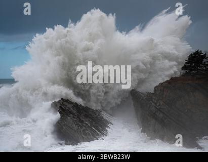 25. November 2020, Charleston, OREGON, USA: Massive Wellen brechen im Shore Acres State Park nahe Charleston an der südlichen Küste von Oregon ab. Der National Weather Service hat eine Warnung für die hohe Brandung in der Region ausgegeben. Bis Donnerstag werden Wellen von bis zu 25 Fuß erwartet. (Bild: © Robin Loznak/ZUMA Wire) Stockfoto