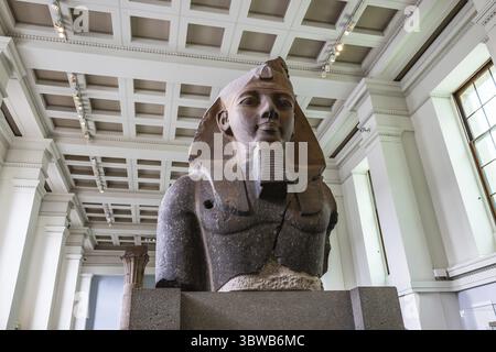 The iconic statue of King Ramesses II displayed at the British Museum, showcasing ancient Egyptian art and history. London, UK, 27 June 2023 Stockfoto