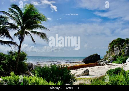 Tropischer Strand mit Palmen und felsigen Klippen, Tulum, Mexiko Stockfoto