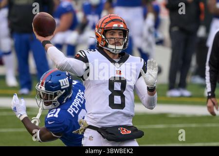 29. November 2020: Brandon Allen #8 der Cincinnati Bengals spielt den Ball während der NFL-Fußballspiele zwischen den New York Giants und den Cincinnati Bengals im Paul Brown Stadium am 29. November 2020 in Cincinnati, OH. Adam Lacy/CSM(Credit Image: &Copy; Adam Lacy/CSM via ZUMA Wire) Stockfoto