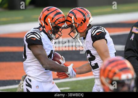 29. November 2020: Brandon Wilson #40 der Cincinnati Bengals feiert nach einem Auftakt für einen Touchdown während der NFL-Football-Action zwischen den New York Giants und den Cincinnati Bengals im Paul Brown Stadium am 29. November 2020 in Cincinnati, OH. Adam Lacy/CSM(Credit Image: &Copy; Adam Lacy/CSM via ZUMA Wire) Stockfoto