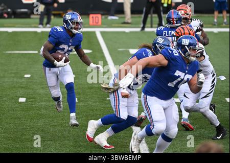 29. November 2020: Wayne Gallman #22 der New York Giants während der NFL Football Action zwischen den New York Giants und den Cincinnati Bengals im Paul Brown Stadium am 29. November 2020 in Cincinnati, OH. Adam Lacy/CSM(Credit Image: &Copy; Adam Lacy/CSM via ZUMA Wire) Stockfoto