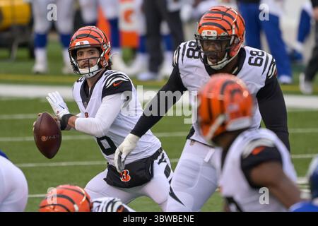 29. November 2020: Brandon Allen #8 der Cincinnati Bengals streitet sich während der NFL-Fußballspiele zwischen den New York Giants und den Cincinnati Bengals im Paul Brown Stadium am 29. November 2020 in Cincinnati, OH. Adam Lacy/CSM(Credit Image: &Copy; Adam Lacy/CSM via ZUMA Wire) Stockfoto