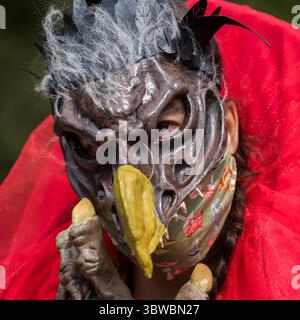 Mai 2020, Portland, Oregon, USA: HILARY NICHOLS, 28. „diese Maske (ich habe sie gemacht) war letztes Jahr mein halloween-Kostüm, sie ist von den Skeksis-Charakteren aus dem Dunklen Kristall nachempfunden. Jetzt bei der Pandemie habe ich eine Mund-/Nasenabdeckung hinzugefügt. Ich habe die Möglichkeit, meine Skeksis Maske an anderen Tagen nach Halloween zu tragen, was mich ehrlich gesagt sehr glücklich macht. Ich habe vor der Pandemie nie eine Maske getragen, aber jetzt, da Masken ein notwendiger Bestandteil unseres sozialen Gefüges sind, hoffe ich irgendwie, dass diese Praxis hier bleibt. Unsere amerikanische Kultur ist sehr individualistisch und trägt ein Stockfoto