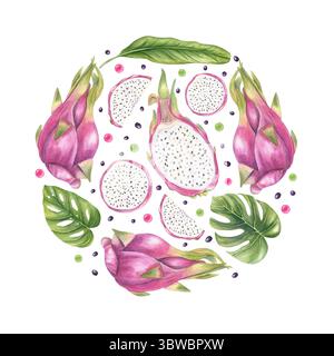 Aquarellrosa pitaya-Früchte, Monsterablätter, Safttropfen gleichmäßig im Kreis angeordnet, isoliert auf weißem Hintergrund. Tropische Früchte und Laub Stockfoto