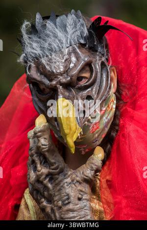 Mai 2020, Portland, Oregon, USA: HILARY NICHOLS, 28, aus Portland, Oregon, sagt: „diese Maske (ich habe sie gemacht) war letztes Jahr mein halloween-Kostüm, sie ist den Skeksis-Charakteren aus dem Dunklen Kristall nachempfunden. Jetzt bei der Pandemie habe ich eine Mund-/Nasenabdeckung hinzugefügt. Ich habe die Möglichkeit, meine Skeksis Maske an anderen Tagen nach Halloween zu tragen, was mich ehrlich gesagt sehr glücklich macht. Ich habe vor der Pandemie nie eine Maske getragen, aber jetzt, da Masken ein notwendiger Bestandteil unseres sozialen Gefüges sind, hoffe ich irgendwie, dass diese Praxis hier bleibt. Unsere amerikanische Kultur ist sehr präsent Stockfoto