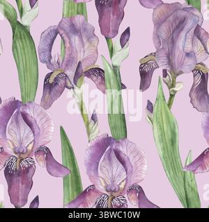 Nahtloses Muster mit lilafarbenen Iris, grünen Blättern auf einem hellvioletten Hintergrund. Die florale Illustration ist handgemalt in Aquarell in einem botanischen Stil Stockfoto