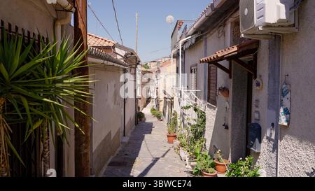 Malerische, schmale Gasse in Pizzo, Kalabrien, Italien, mit lebendigen Pflanzen und Blumen an den Wänden traditioneller Häuser während der sonnigen Sommertage Stockfoto