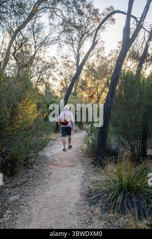 Ein Mann geht durch den Pinsel in Wave Rock, Hyden, Western Australia, Stockfoto