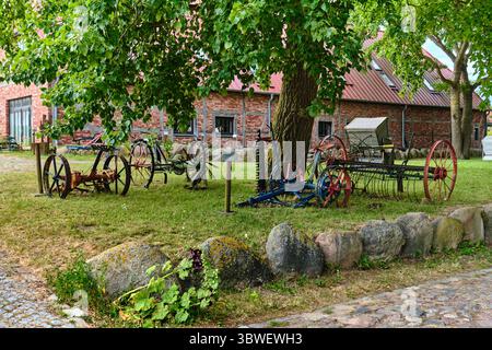 9. Juli 2025 – Putgarten-Deutschland: Historische Stahlpferdemaschinen in der Nähe einer Eiche auf einem Kopfsteinpflasterhof, mit Fachwerkscheune aus rotem Backstein i Stockfoto