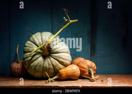 Kürbisvariante schmückt alten Tisch im warmen rustikalen Stil für die Herbstferien. Erntestimmung ideal für Halloween-Themen oder traditionellen Herbst-Hintergrund Stockfoto