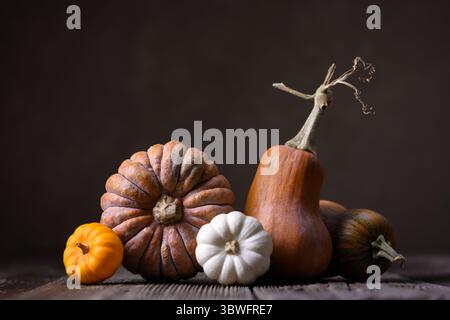 Gemütliche Kürbisse in verschiedenen Formen auf Holzoberfläche mit dunklem Hintergrund. Nahaufnahme Herbststilleben ideal für das Styling von Lebensmitteln und Erntethemen Stockfoto