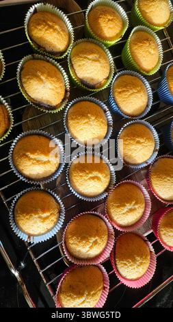 Goldene Cupcakes kühl auf einem Gitterrost, frisch gebacken in bunten Papiereinlagen. Die Cupcakes haben eine perfekt abgerundete Oberseite, die einen appetitlichen Eindruck vermittelt Stockfoto