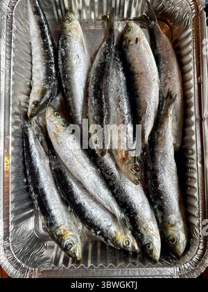 Frische Sardinen in einer Folienschale, bereit zum Kochen oder Grillen Stockfoto