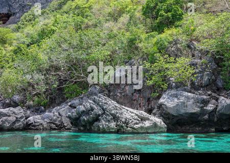 Ein klares Wasser auf dem See in El Nido, Palawan, Philippinen. Eine fruchtbare Bergklippe, kristallklares Wasser und natürliche Felsen Stockfoto