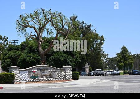 SANTA ANA, KALIFORNIEN - 16. JULI 2025: Willowick Golf Course ist der älteste öffentliche 18-Loch-Golfplatz in Orange County mit einer Graslaufbahn, einem Pro-Shop, Stockfoto