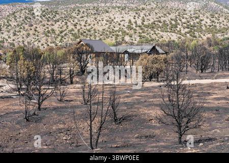 26. Juni 2021, Moab, Utah, Vereinigte Staaten: Verbrannte Bäume und ein Haus, das durch den Pack Creek Brand teilweise beschädigt wurde, der 9.000 Acres in der Nähe von Moab, Utah, verbrannte. (Kreditbild: © Jon G. Fuller/VW Pics via ZUMA Wire) Stockfoto