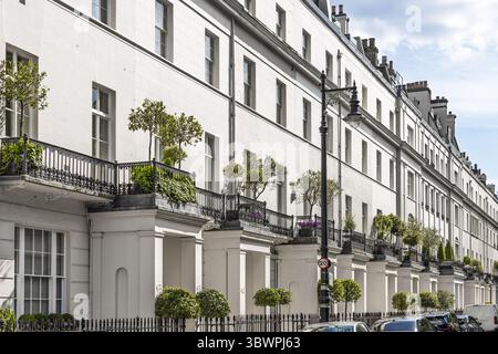 Elegante georgianische Terrassenhäuser mit eisernen Balkonen und Topfpflanzen in London Stockfoto