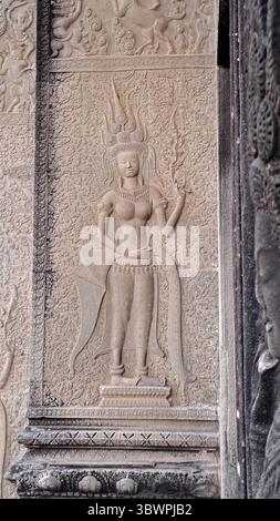 Detailliertes Basreliefs aus Stein einer apsara-Tänzerin in einer Tempelwand in Angkor Wat, Kambodscha. Traditionelle Khmer-Kunst und Architektur. Stockfoto