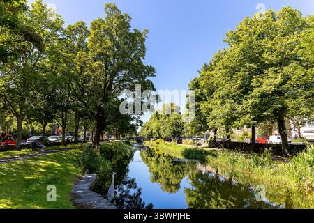 Leute, die an sonnigen Sommertagen auf Bänken am Canal Grande in Dublin ein Picknick genießen. Graureiher Vogel am Kanalufer. Irland, Europa Stockfoto