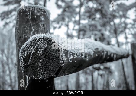 Nahaufnahme eines frostigen Holzzauns in einem Winterwald mit Raureifkristallen an der Oberfläche. Stockfoto