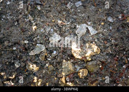 Gefrorener, schlammiger Waldboden mit gebrochenen Eisstücken und kleinen Felsen. Nahaufnahme der Textur, die die natürlichen Winterbedingungen auf einem Waldweg zeigt. Stockfoto