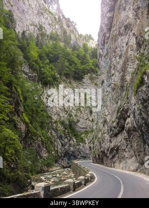 Malerische Bergstraße, die sich durch die Bicaz-Schlucht mit hoch aufragenden Felsklippen und einem Bach schlängelt, Ostkarpaten, Rumänien. Stockfoto