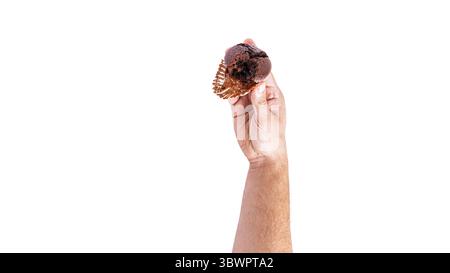 Schokoladen-Cupcakes mit Kirschmarmelade isoliert auf weißem Hintergrund. Schokoladenmuffin in der Hand. Stockfoto