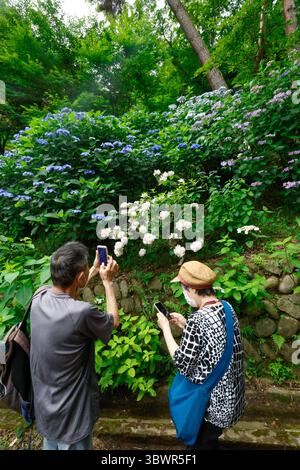TAKAHATA FUDOSON TEMPEL HINO JAPAN Stockfoto