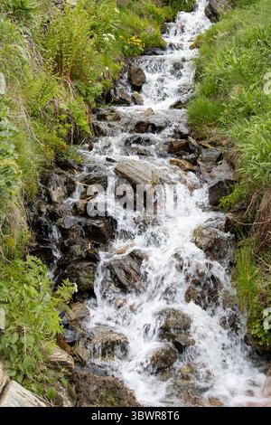 Kristallklares Wasser fließt einen felsigen Bach hinunter und bildet kleine Wasserfälle inmitten lebendiger grüner Vegetation in einer Berglandschaft Stockfoto