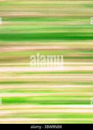 Horizontale Linien in Grün- und Beigetönen verschmelzen zu einem dynamischen abstrakten Hintergrund mit Bewegungsgefühl Stockfoto