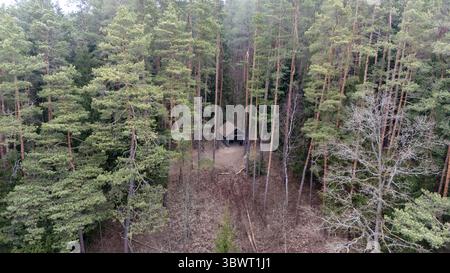 Aus der Vogelperspektive auf eine kleine Holzhütte umgeben von dichtem Kiefernwald. Stockfoto