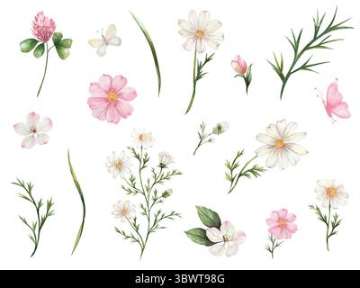 Aquarellset mit Wildblumen. gänseblümchen, Kosmos, Klee, Apfelblüten, rosa und weiße Blumen und Schmetterlinge auf weißem Hintergrund. Perfekt für Karten, Drucke, Einladungen und Dekorationen. Stockfoto