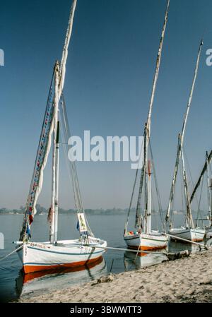 7. März 1981, Ägypten: Feluccas, traditionelle hölzerne Segelboote, die auf dem Nil in Ägypten eingesetzt werden, liegen an der Küste der riverâ. (Bild: © Arnold Drapkin/ZUMA Press Wire) Stockfoto