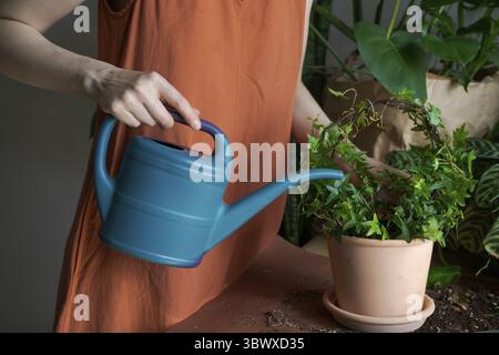 Gärtnerinnen, die Pflanzen in Keramiktöpfen auf dem Tisch gießen. Home Garden Konzept. Frühlingszeit. Innenraum mit vielen Pflanzen. Kümmern Sie sich um Hauspflanzen. Sa Stockfoto