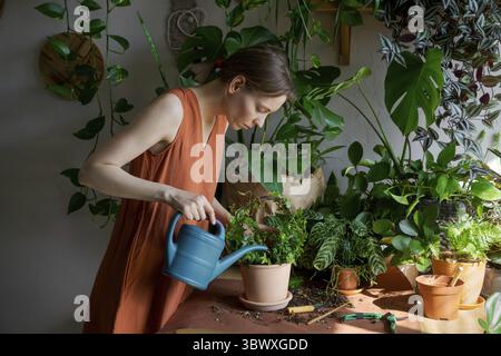 Gärtnerinnen, die Pflanzen in Keramiktöpfen auf dem Tisch gießen. Home Garden Konzept. Frühlingszeit. Innenraum mit vielen Pflanzen. Kümmern Sie sich um Hauspflanzen. Sa Stockfoto