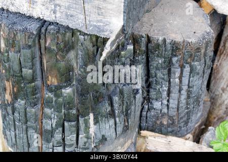 Eine Nahaufnahme von gestapelten, geschwärzten, verkohlten Holzstämmen mit rauen Texturen und den Folgen des Feuers, ideal für Hintergründe. Stockfoto
