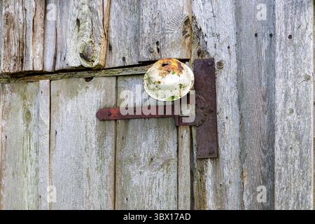 Eine verwitterte Holzwand verfügt über eine alte, rostige Türklingel und Metallscharnier, die Textur, Alter und eine Vintage-Ästhetik zeigen. Stockfoto