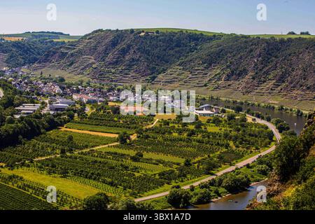 13. Juni 2021, Dieblich, Rheinland-Pfalz, Deutschland: Blick auf die berühmten Weinberge in der Moselregion. Die Mosel ist ein westlicher Nebenfluss des Rheins und fließt über 545 km durch Nordostfrankreich und Westdeutschland. Der Fluss mündet in Deutschland und fließt an Trier vorbei bis zum Zusammenfluss mit dem Rhein bei Koblenz. In diesem Bereich des Tales befinden sich die Weinberge, aus denen die berühmten Moselweine hergestellt werden. (Kreditbild: © Karol Serewis/SOPA Images via ZUMA Press Wire) Stockfoto