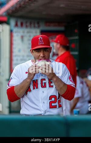 10. August 2021, Anaheim, Kalifornien, USA: David Fletcher #22 der Los Angeles Angels isst während ihres MLS-Spiels mit den Toronto Blue Jays am Dienstag, den 10. August 2021 im Angel Stadium of Anaheim in Anaheim, Kalifornien. Engel verlieren gegen Blue Jays, 0-4. DOUGLAS CUELLAR/PI (Bild: © Prensa Internacional Via ZUMA Press Wire) Stockfoto