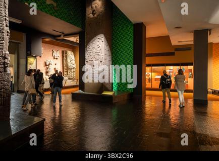 New York, USA - 24. April 2023: Innenansicht des Natural History Museum in New York. Stockfoto