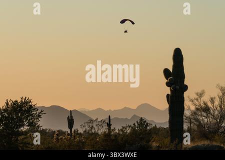 13. Januar 2020, Quartzsite, Arizona, Vereinigte Staaten: Ein motorisierter Fallschirm oder PPC fliegt in der Nähe von Quartzsite, Arizona, mit Saguaro-Kakteen im Vordergrund. (Kreditbild: © Jon G. Fuller/VW Pics via ZUMA Press Wire) Stockfoto