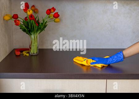 Mit der Hand abwischbare Holzoberfläche in der Nähe der Tulpenvase. Eine Person, die einen blauen Handschuh trägt, reinigt eine dunkle Holzoberfläche mit einem gelben Tuch neben einer Vase voller bunter Farben Stockfoto