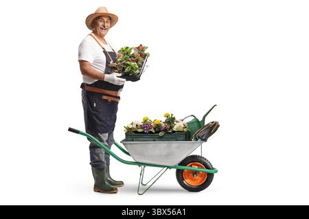Reifer Mann mit Blumen in einer Schubkarre mit Schürze und Stiefeln und Pflanzen isoliert auf weißem Hintergrund Stockfoto