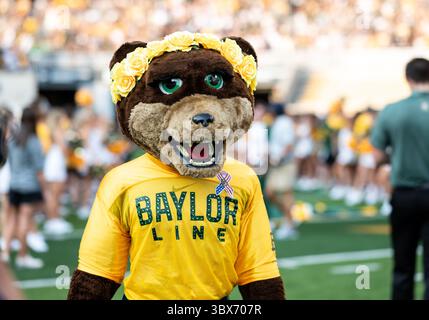 11. September 2021: Baylor Bears weibliches Maskottchen â œMarigoldâ das Spielfeld vor der 1. Hälfte des NCAA Football-Spiels zwischen den Texas Southern Tigers und Baylor Bears im McLane Stadium in Waco, Texas. Matthew Lynch/CSM(Credit Image: &Copy; Matthew Lynch/CSM via ZUMA Wire) Stockfoto
