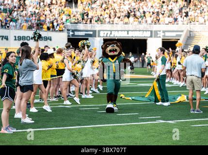 11. September 2021: Baylor Bears Maskottchen spazieren durch die Cheerleader und Baylor-Studenten vor der 1. Hälfte des NCAA Football-Spiels zwischen den Texas Southern Tigers und Baylor Bears im McLane Stadium in Waco, Texas. Matthew Lynch/CSM(Credit Image: &Copy; Matthew Lynch/CSM via ZUMA Wire) Stockfoto