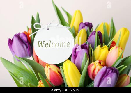 Willkommenskarte und Tulpenstrauß auf hellgrauem Hintergrund, Nahaufnahme Stockfoto